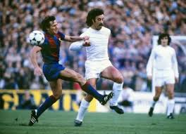 del bosque 5